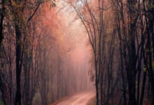 黑白直播-蒙特雷主场迎战西悉尼流浪者，锋线火力引爆看点