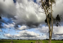 黑白直播免费体育直播-草原雄鹰振翅国际赛场！呼和浩特队出征记