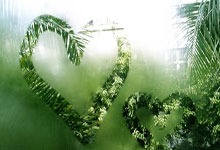 黑白直播-阿尔艾因战术多变，力争战胜强敌