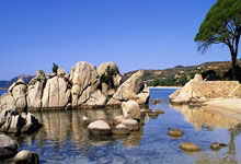 黑白直播免费体育直播-鹿岛鹿角防线稳固，力拼阿尔艾因全力拿分