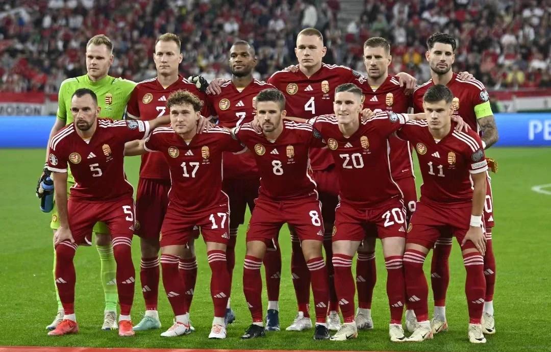 黑白直播nba-匈牙利奇兵出现，成功晋级欧洲杯淘汰赛！的简单介绍