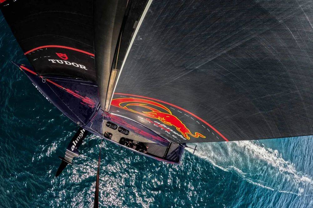 意大利帆船选手力争卫冕冠军