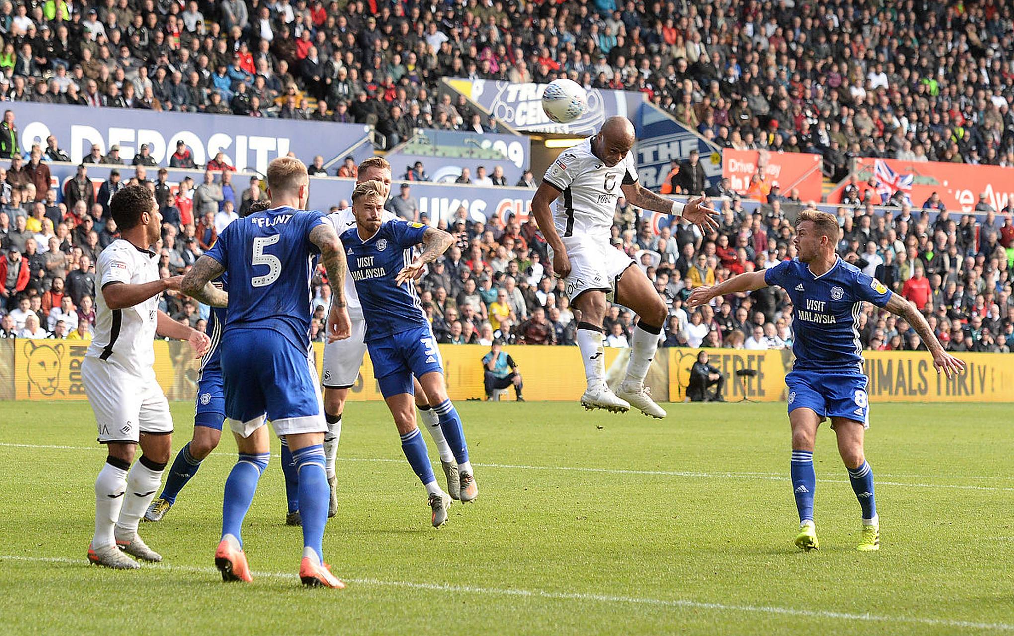 马赛主场获胜,晋级机会再度被提升的简单介绍 马赛主场获胜,晋级机会再度被提升的简单介绍