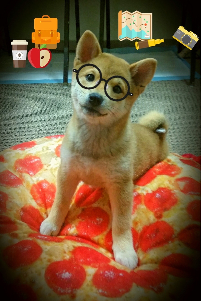 德罗赞单核驱动，猛龙如何攻陷华南虎主场？