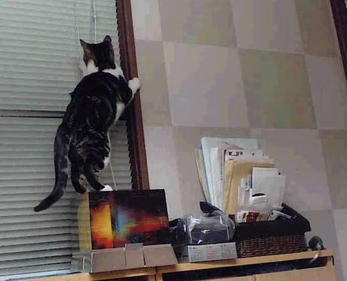 年度焦点之战,克莱接管比赛助掘金制霸独行侠