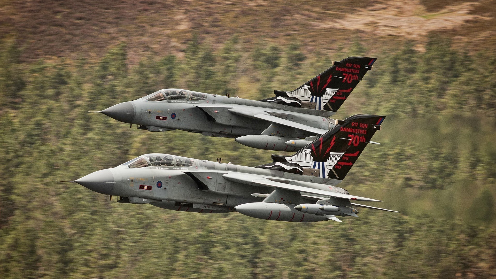 爱德华兹冠军级表现震撼全场,上海队轻取魔术展团队威力