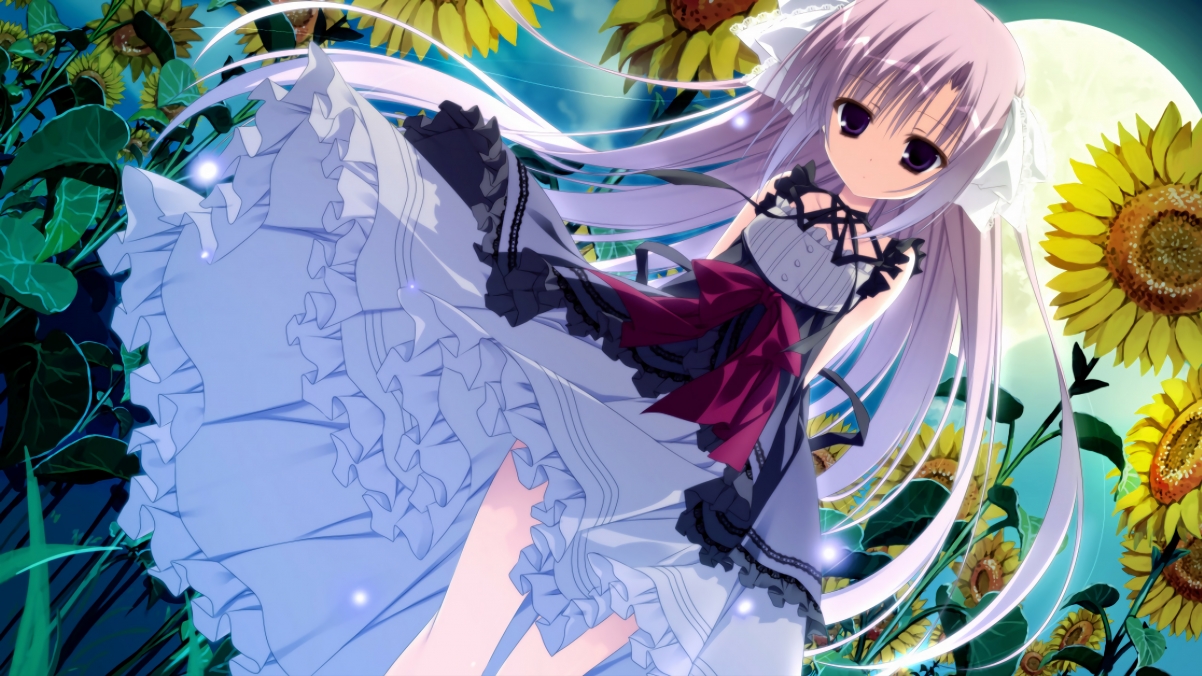 比利时险胜荷兰,托尼在季后赛抢七接管比赛,跨越运动的决胜时刻,书写同一种英雄叙事