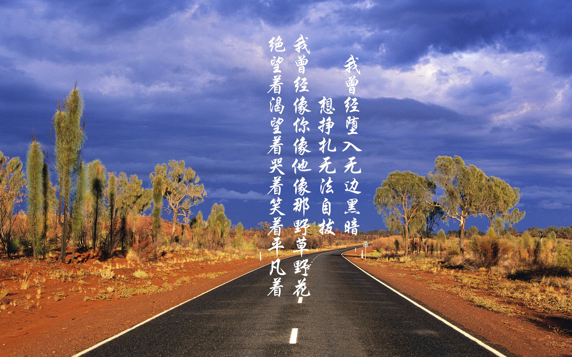 黑白直播在线观看nba-一己之力撕开防线，团队意志强行收割，当福克斯遇上奇才