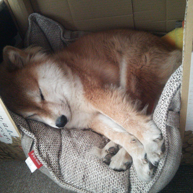 杜兰特38分如天神下凡,马刺末节发力强行终结北京队悬念