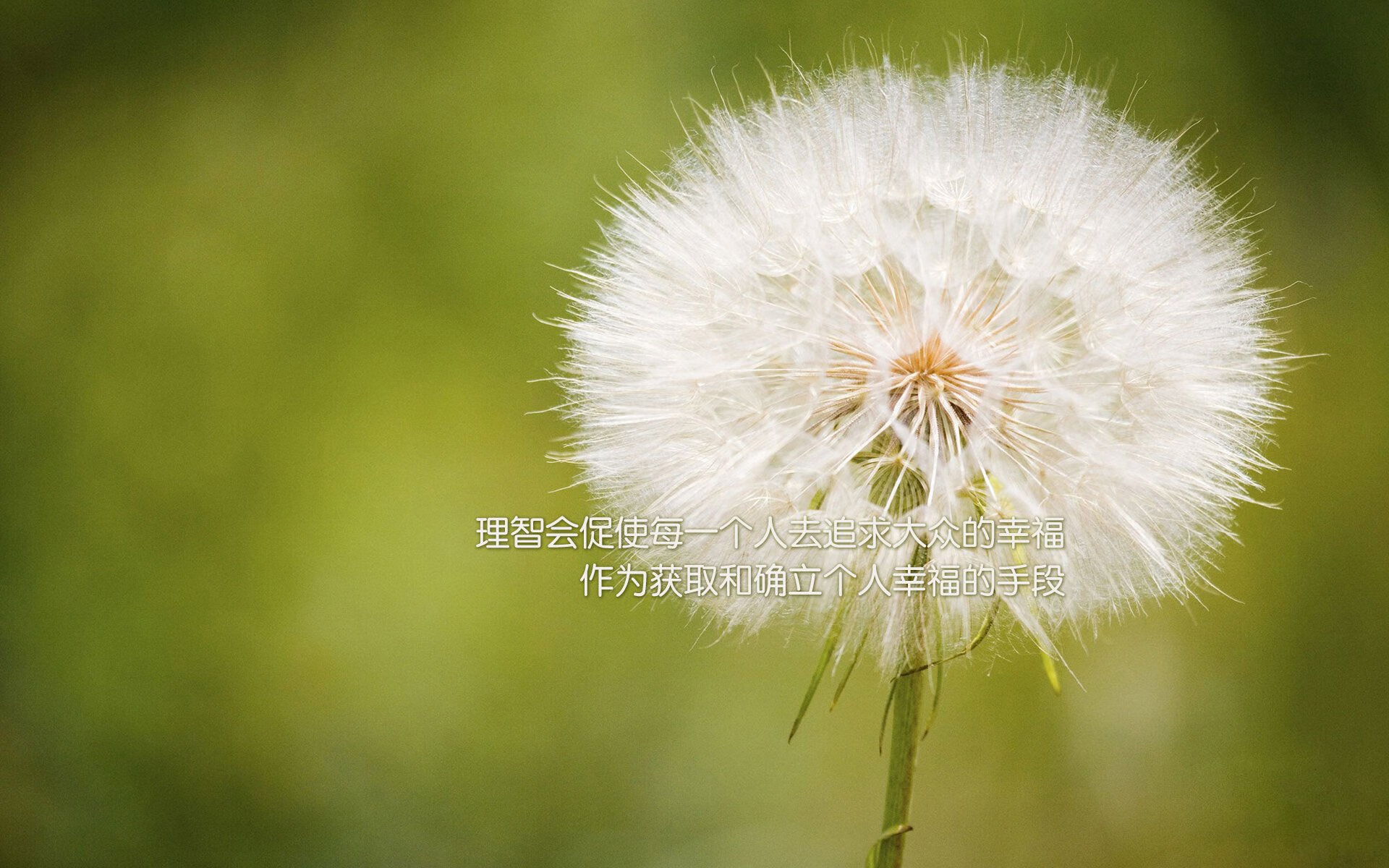 利拉德关键先生闪耀赛场，山西队强势晋级力克辽宁队