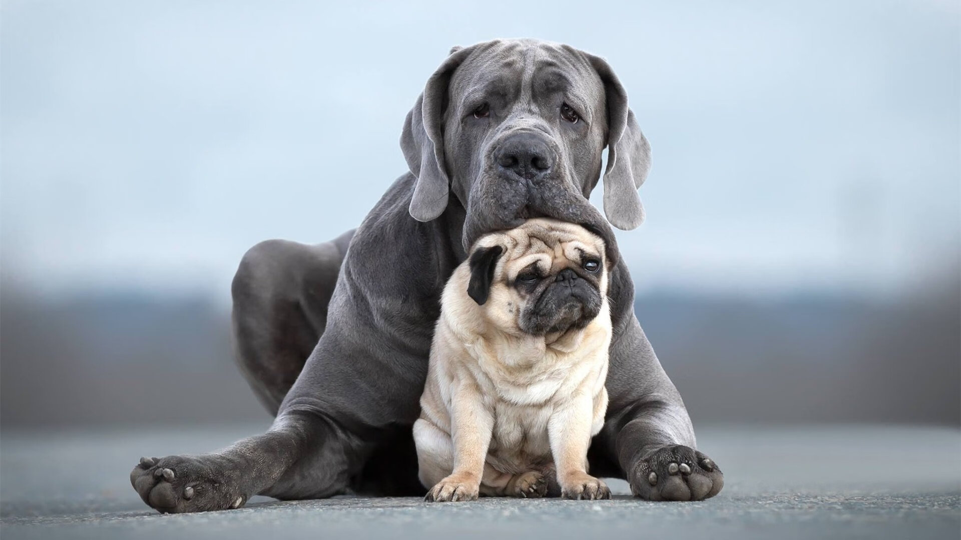 英超争冠焦点战再现马德里竞技式末节逆转，牙买加飞翼一剑封喉
