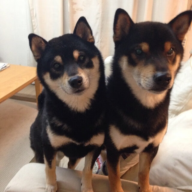 黑白直播nba-2026世界杯之夜，切特持续制造杀伤的传奇表演