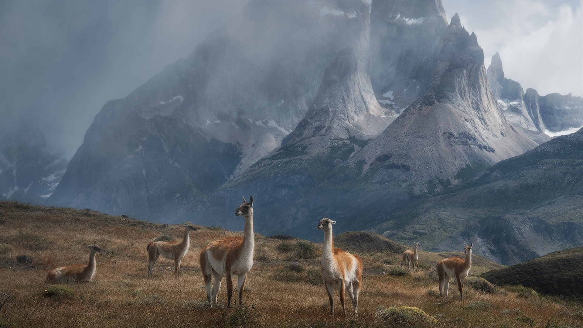 斯通斯领军，决胜NBA总决赛之夜