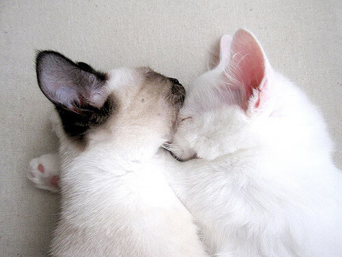 阿坎吉一夫当关!拉齐奥爆冷擒皇马,现代中卫接管比赛的时代已来临?