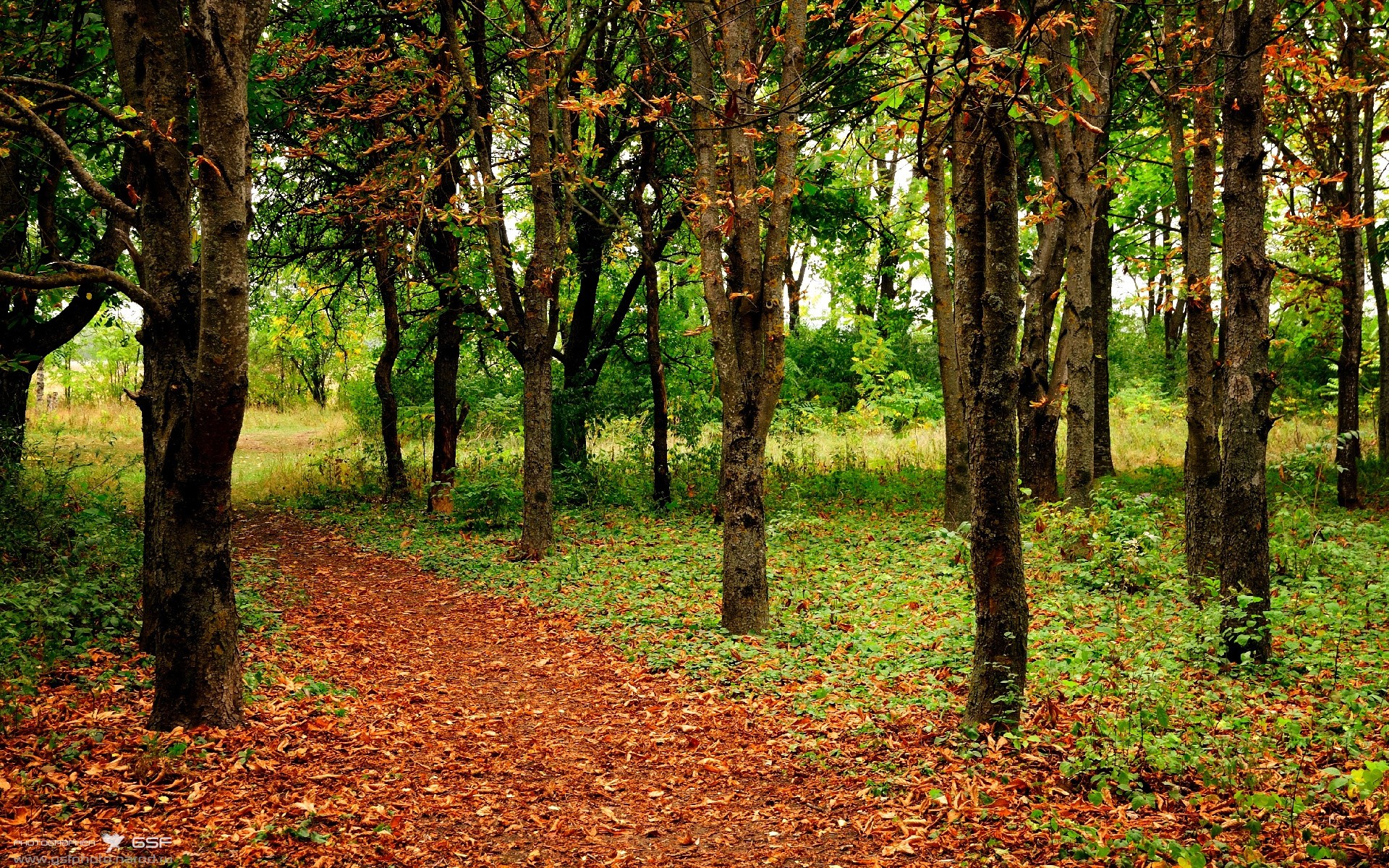 黑白直播在线观看-年度焦点之战之夜,哈利伯顿关键时刻站出来