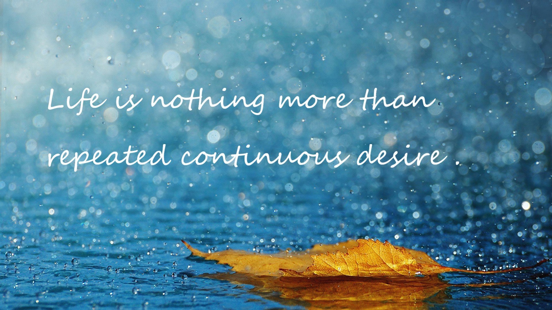 数据之王诞生！京多安一役诠释何谓全面爆炸，里昂的叹息与卡塔尔的学费