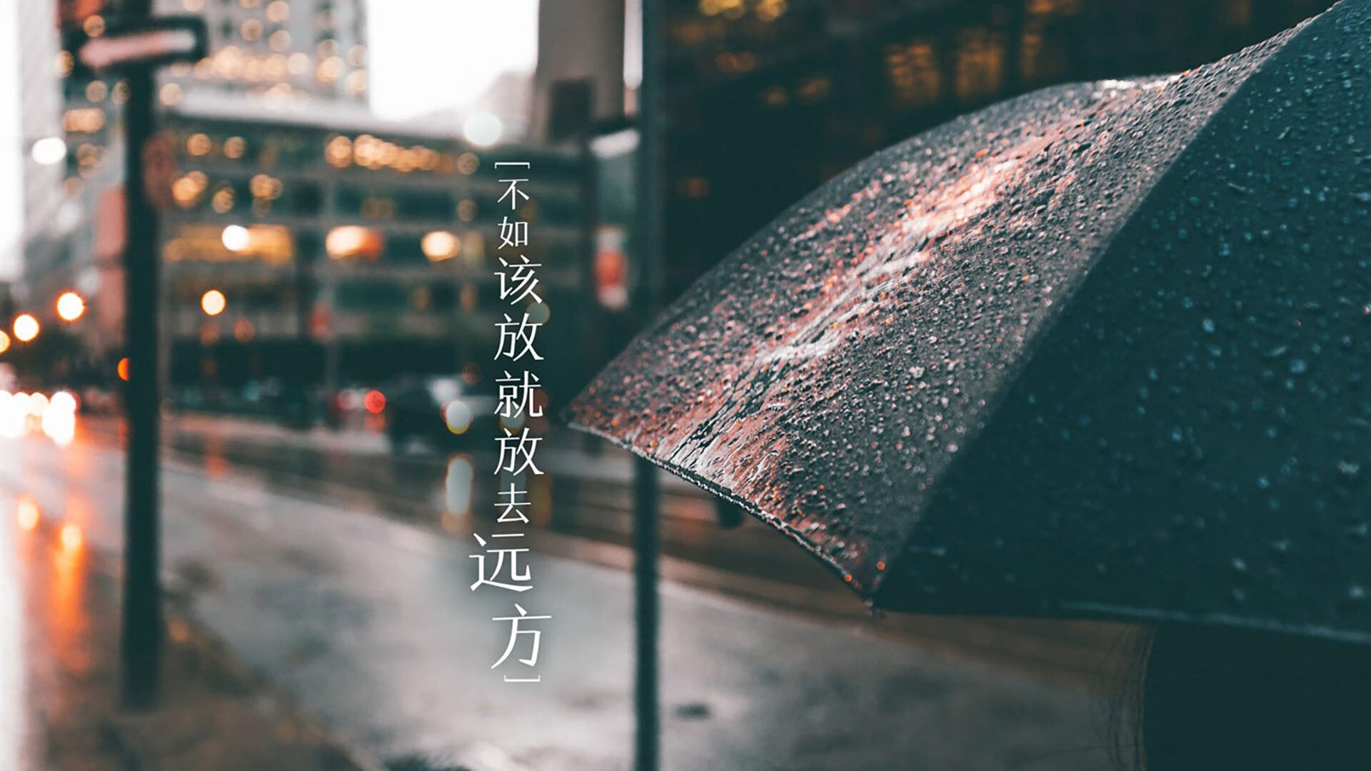 火树银花黄浦江，霍勒迪三分雨浇灭猛龙反扑烈焰