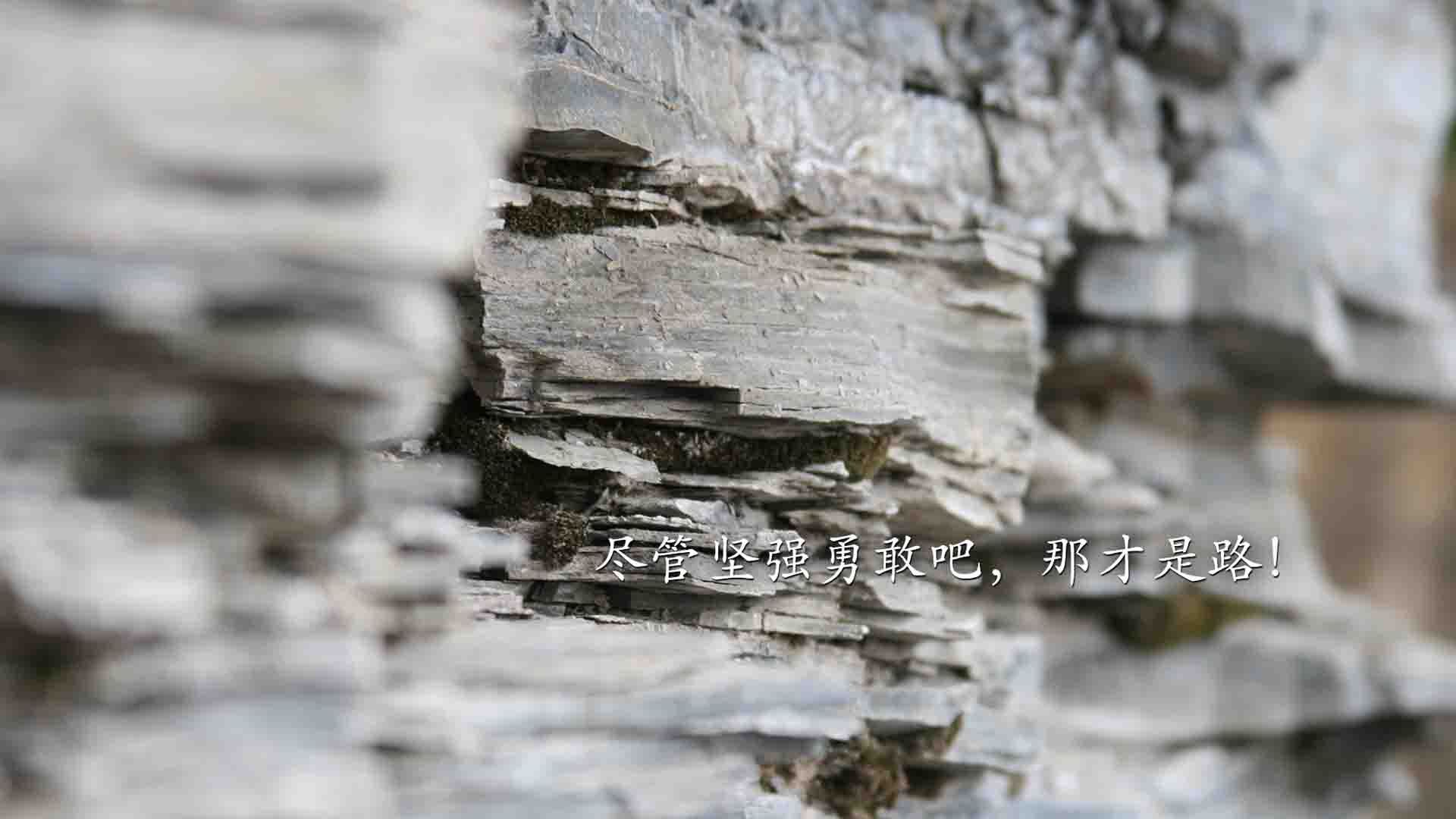 黑白直播nba在线观看-魔笛奏响旧时代，绿军掀起新浪潮，欧洲足坛的传承与颠覆