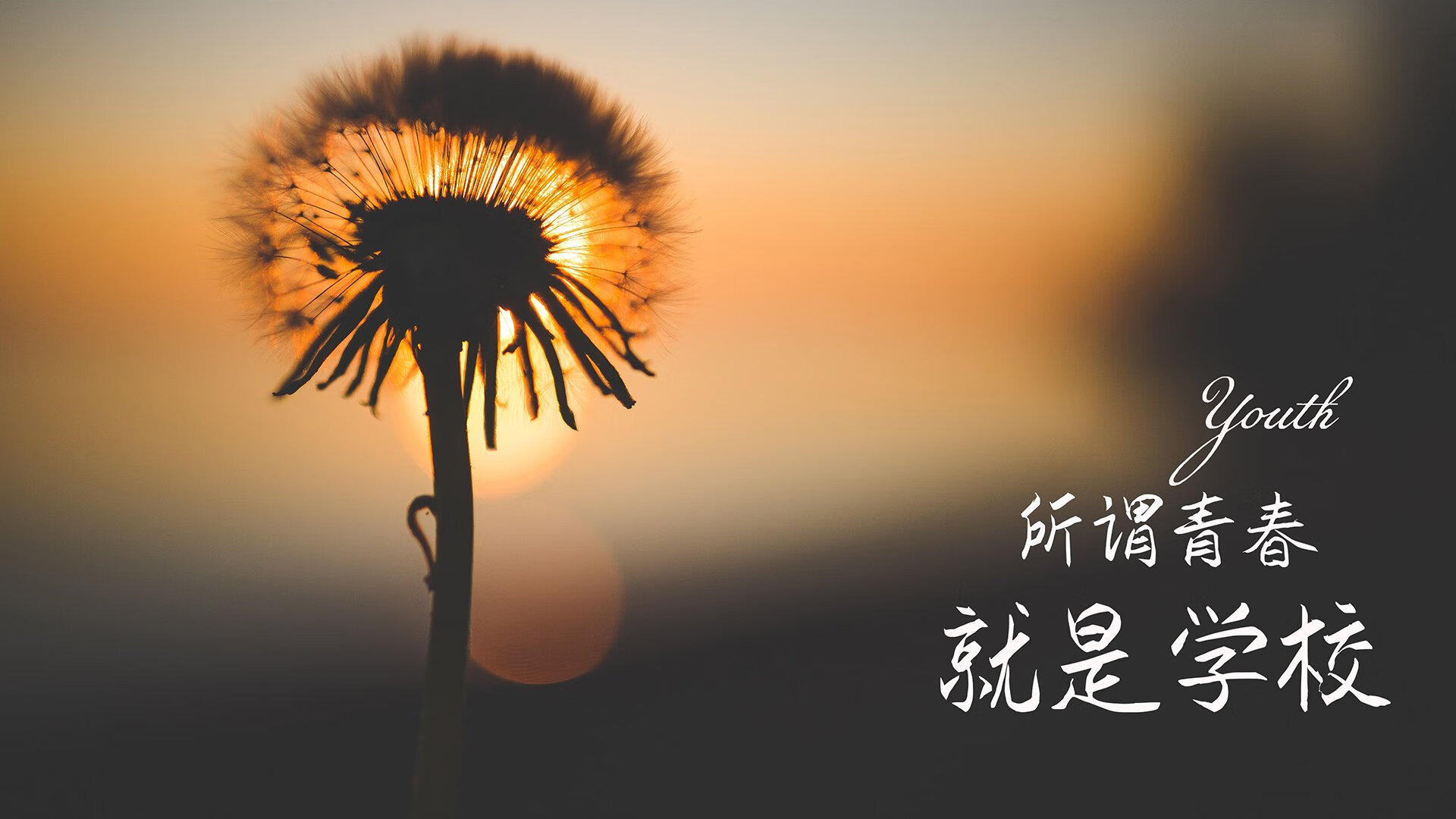 2026世界杯H组惊现冷门,泰国完胜瑞典,三笘薰闪耀全场改写出线格局